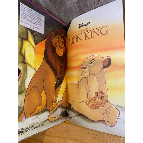 Lot of 3 Disney Hardcover Books: Donald Duck, Lion King, & 101 Dalmatians - Picture 9 of 12